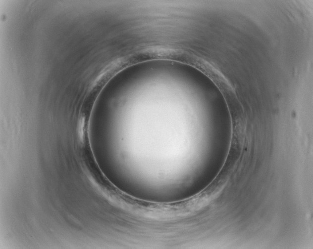 X0000082200024200701191453