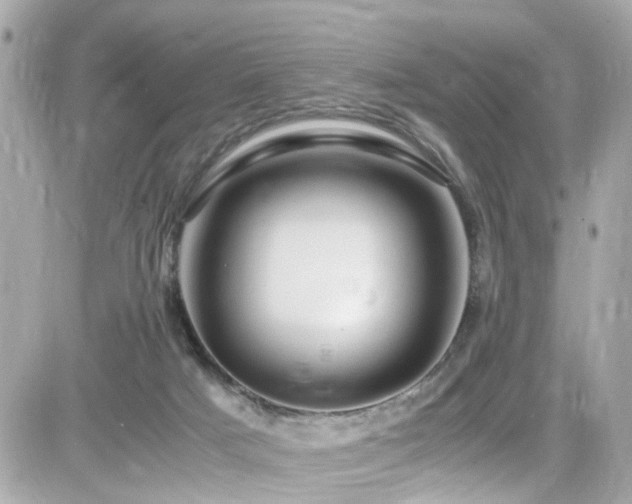 X0000082200025200701191453