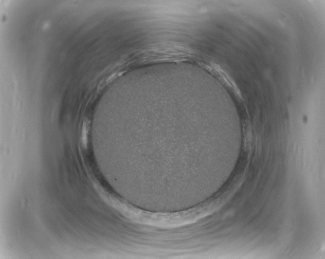 X0000082200026200701191453