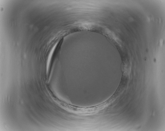 X0000082200027200701191453