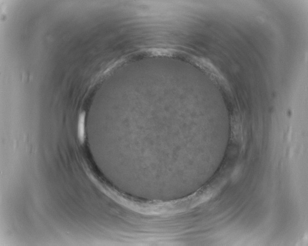 X0000082200028200701191453