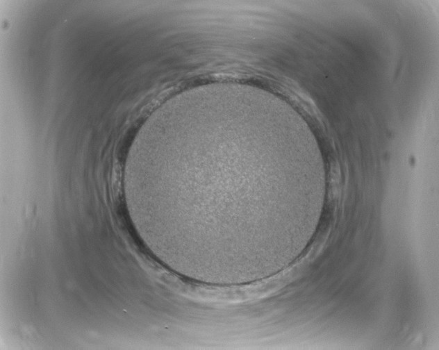 X0000082200029200701191453