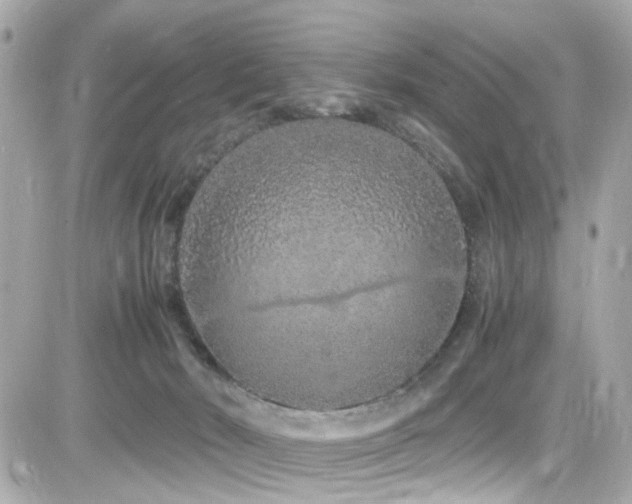 X0000082200030200701191453