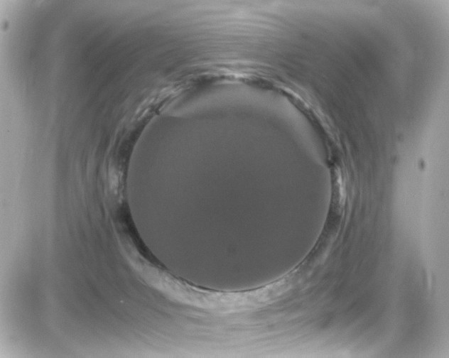 X0000082200031200701191453