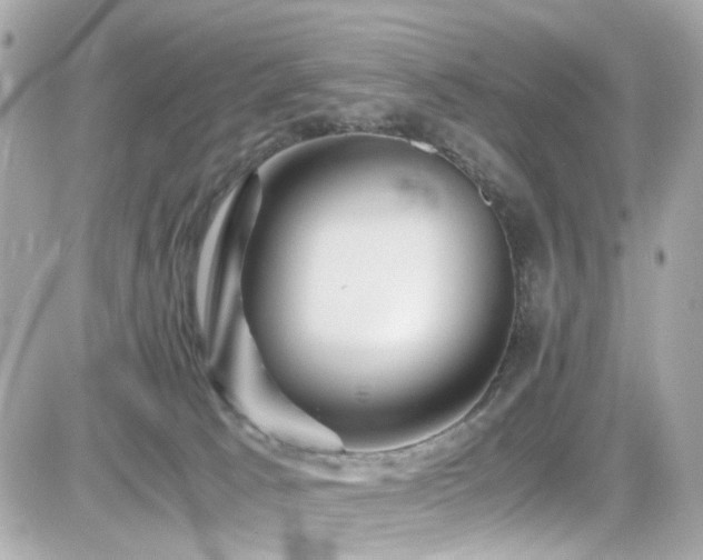 X0000082200033200701191453