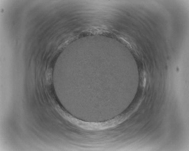 X0000082200034200701191453