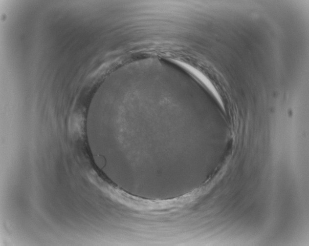 X0000082200035200701191453