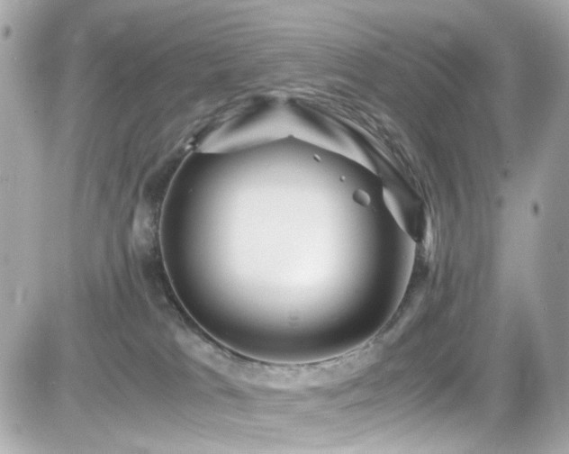 X0000082200037200701191453