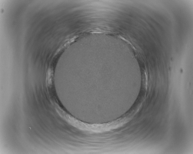 X0000082200038200701191453