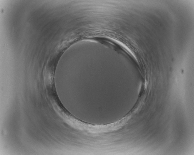 X0000082200039200701191453