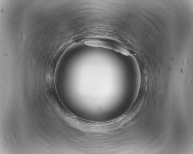 X0000082200040200701191453