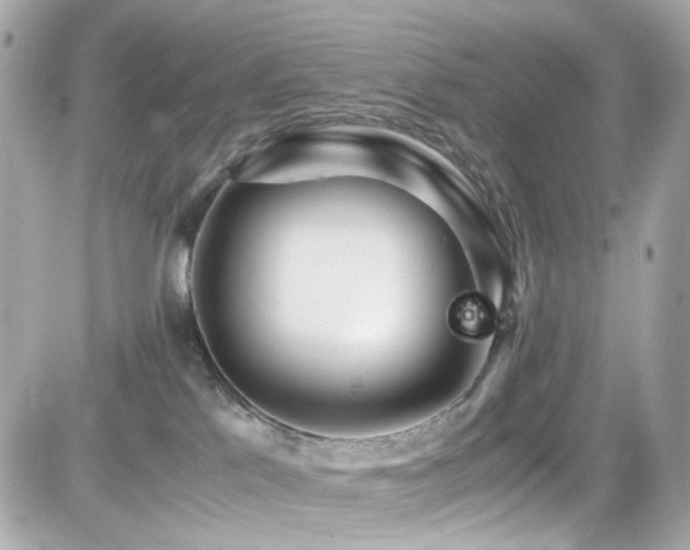 X0000082200041200701191453