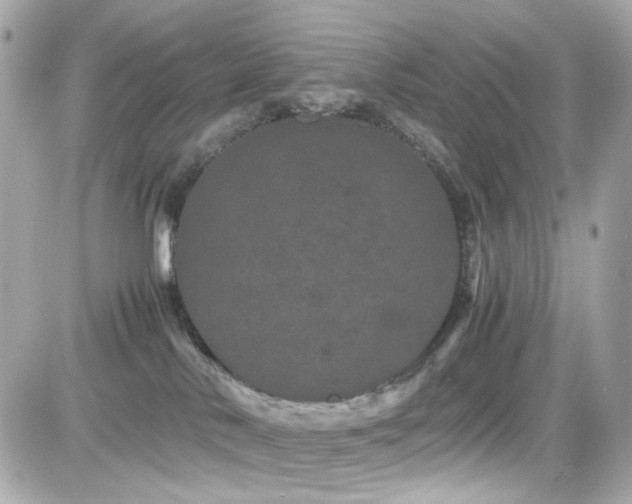 X0000082200042200701191453