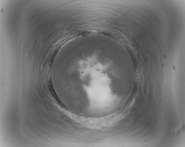 X0000082200043200701191453