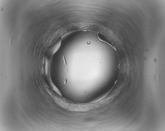 X0000082200044200701191453