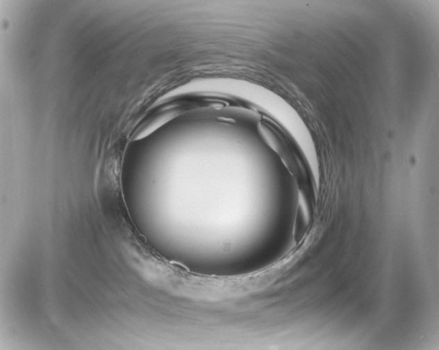 X0000082200045200701191453