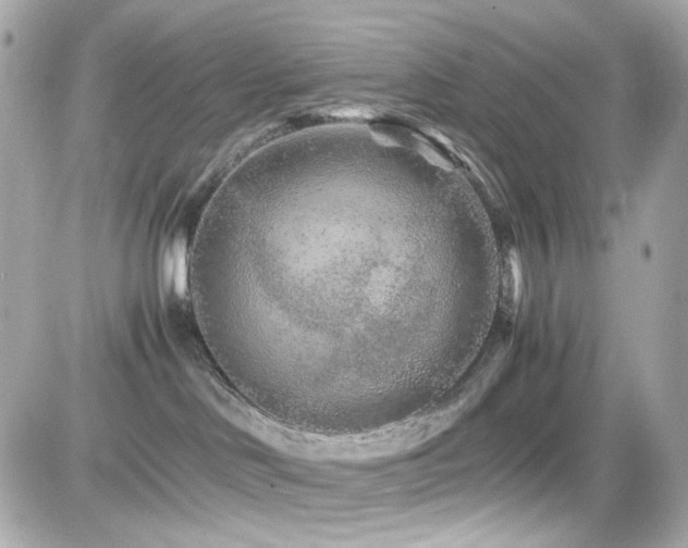 X0000082200046200701191453