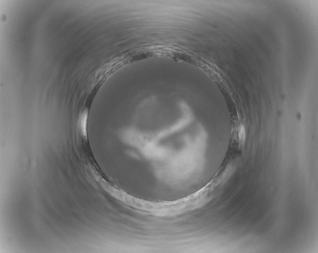 X0000082200047200701191453