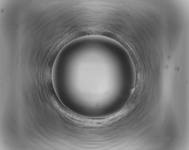 X0000082200048200701191453