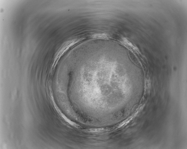 X0000082200049200701191452