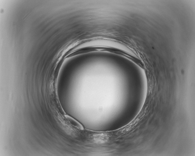 X0000082200050200701191452