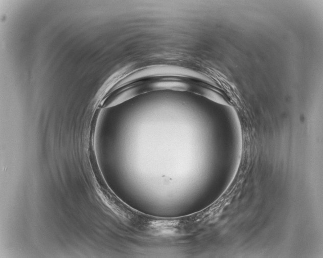 X0000082200051200701191452