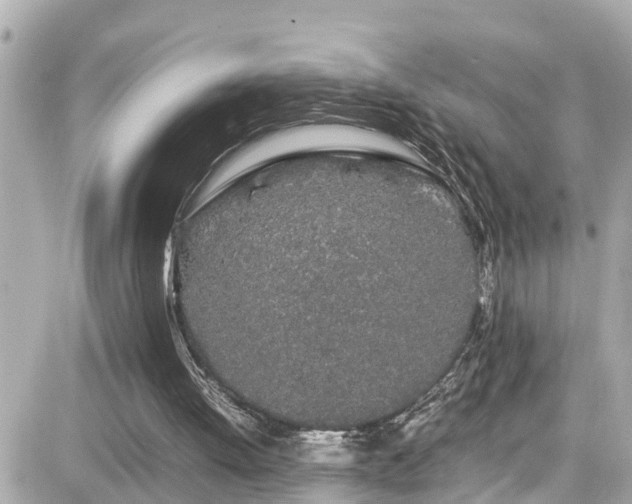 X0000082200052200701191452