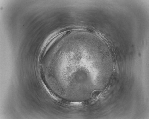 X0000082200053200701191452