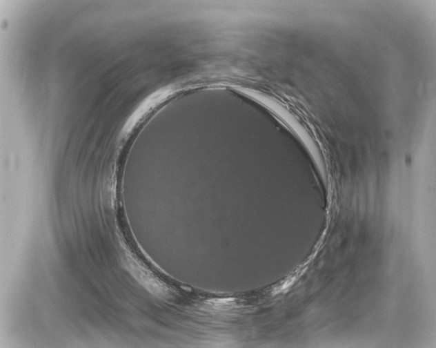 X0000082200054200701191452