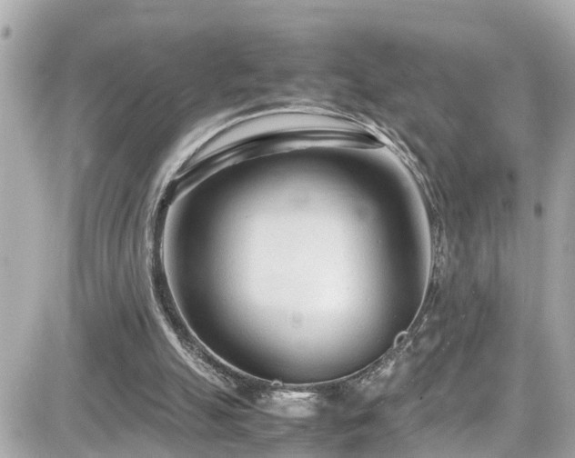 X0000082200055200701191452