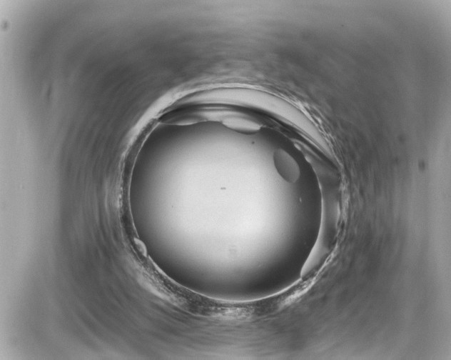 X0000082200056200701191452