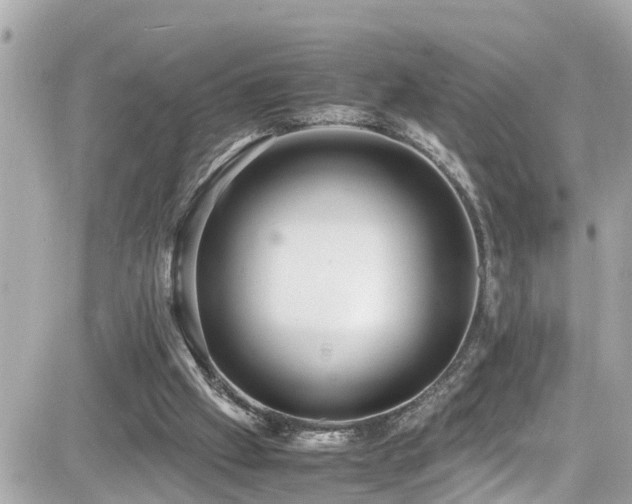 X0000082200057200701191452