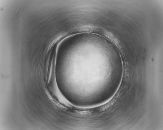 X0000082200058200701191452