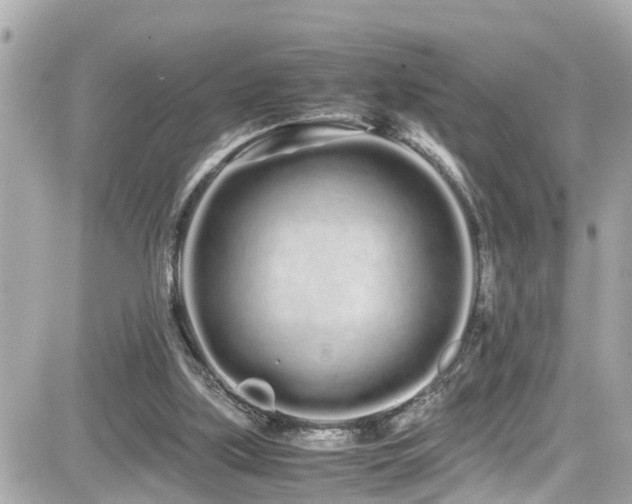 X0000082200059200701191452