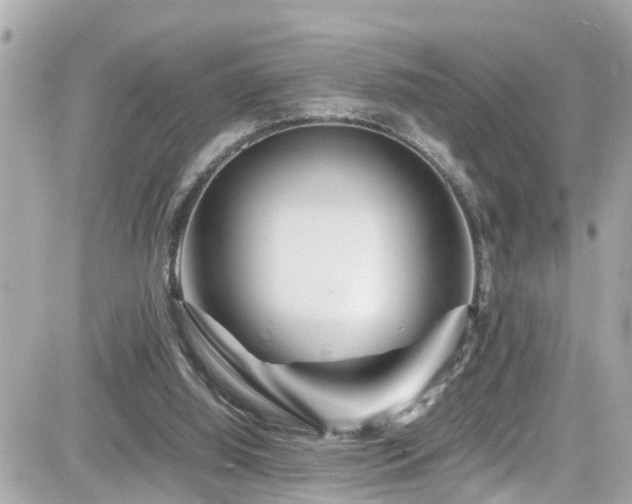 X0000082200060200701191452