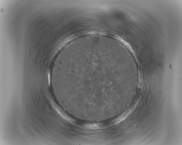 X0000082200061200701191452