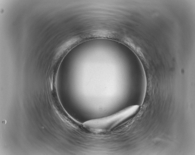 X0000082200062200701191452