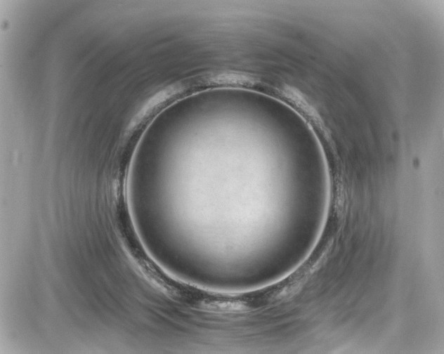 X0000082200063200701191452