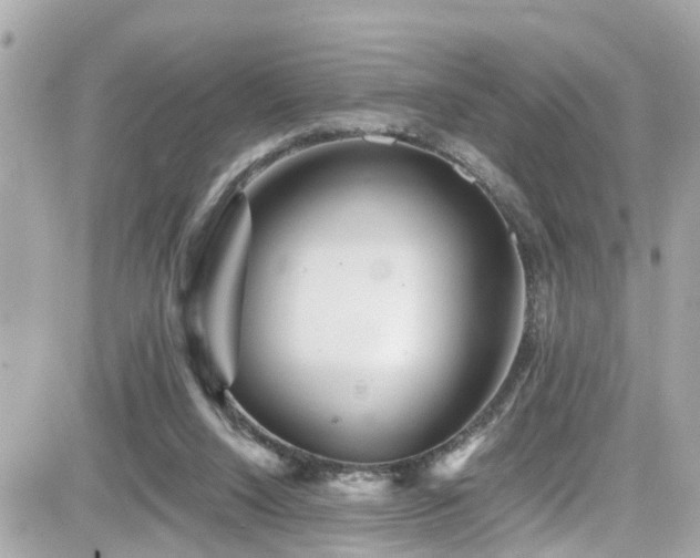 X0000082200064200701191452