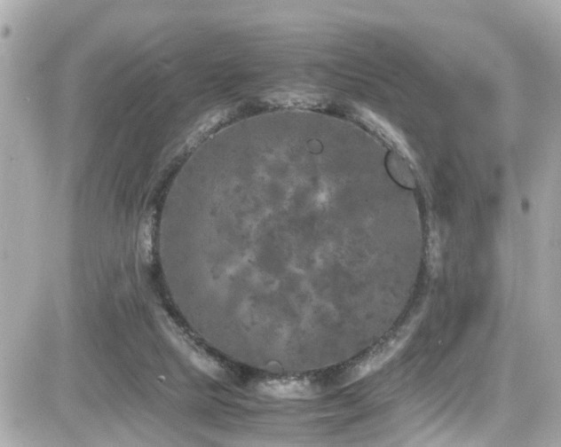 X0000082200065200701191452