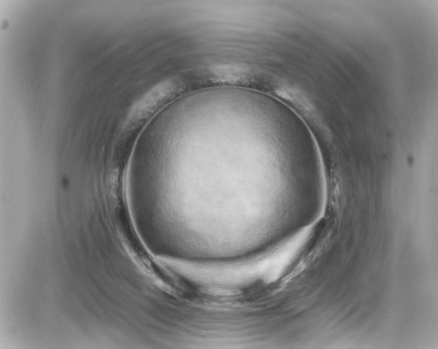 X0000082200066200701191452