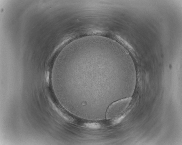 X0000082200067200701191452