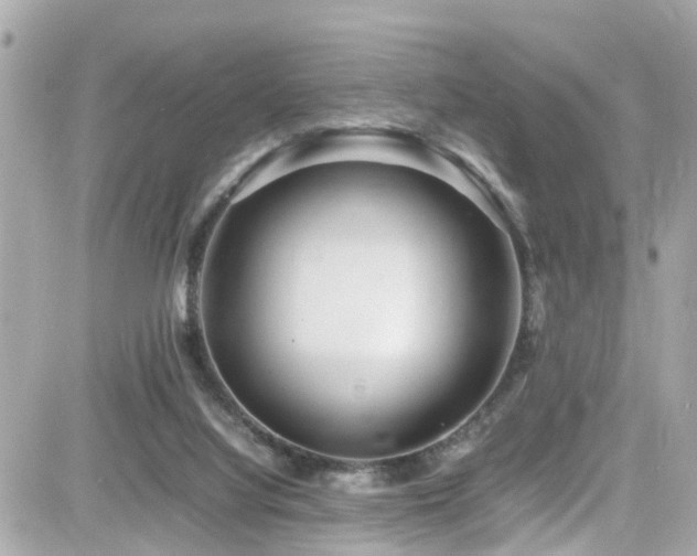 X0000082200068200701191452