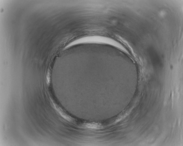 X0000082200069200701191452