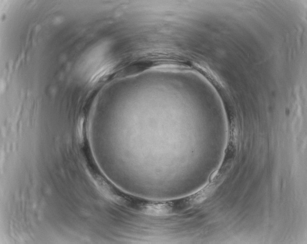 X0000082200070200701191452