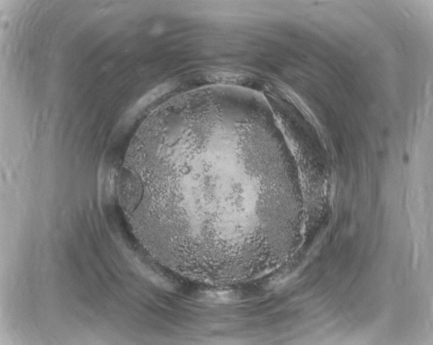 X0000082200071200701191452