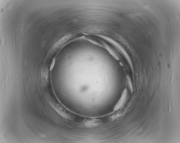 X0000082200072200701191452