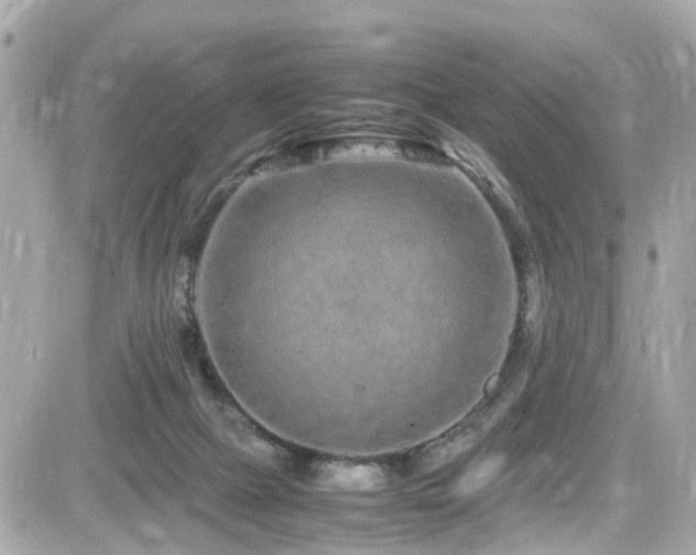 X0000082200073200701191452