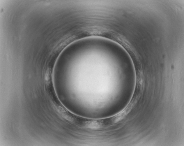 X0000082200074200701191452