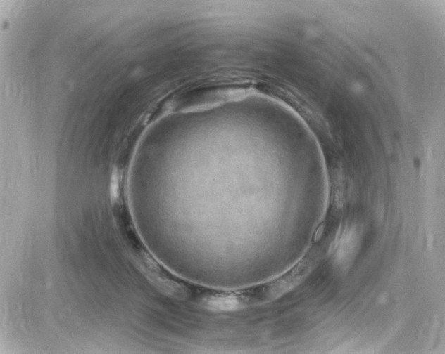 X0000082200075200701191452